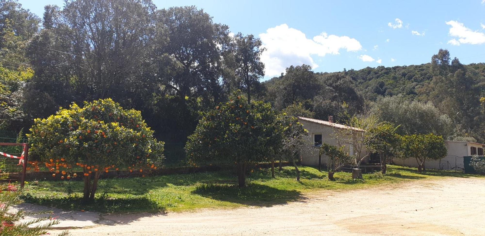 Auberge de Cannedda Sari-Solenzara Kamer foto