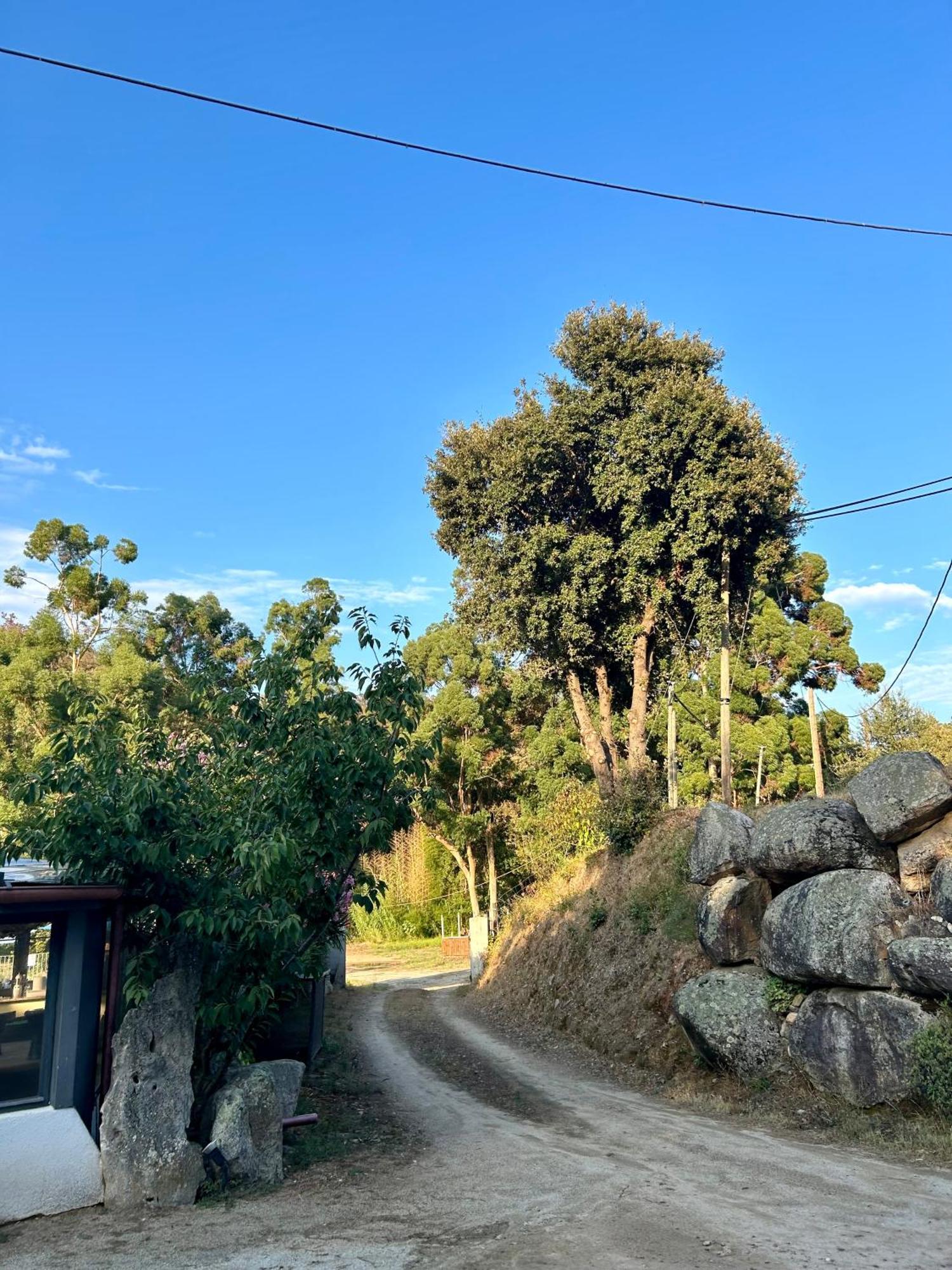 Auberge de Cannedda Sari-Solenzara Buitenkant foto